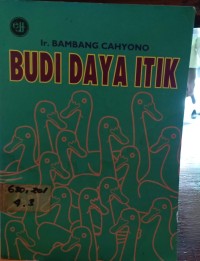 Budi Daya Itik