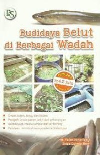 budidaya belut di berbagai wadah